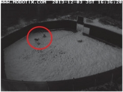 エゾシカ捕獲囲いわなに係る遠隔制御システムの実証試験