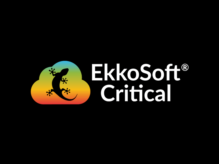 EKKOSoftCritical